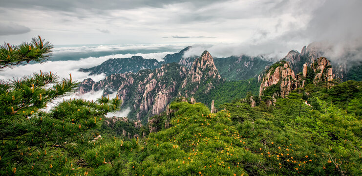 黃山云海