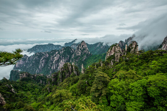 黄山云海