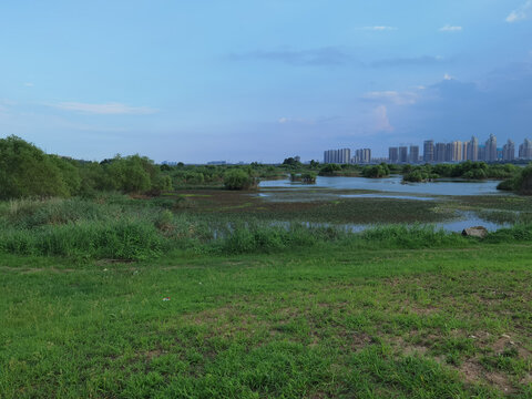 河边草地