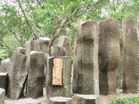 海口火山地质公园柱状节理石