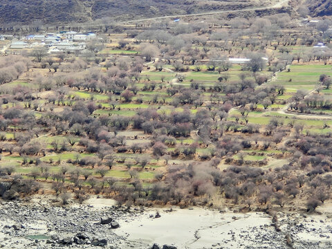 雅鲁藏布大峡谷雪山