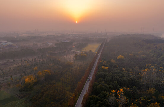 自在大道秋天晨景