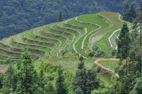 山区田园