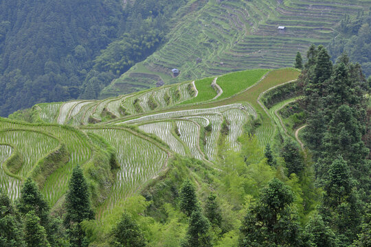 山区农田