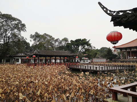 望丛祠