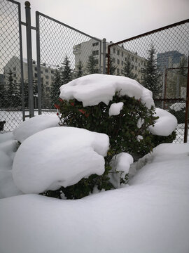 公园雪景