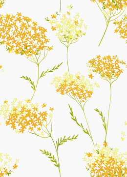 時(shí)尚花卉女裝花型