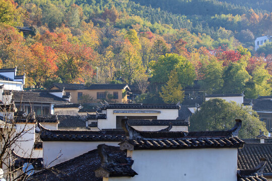 秋天的塔川