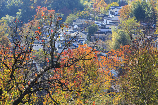 秋天的黟县塔川