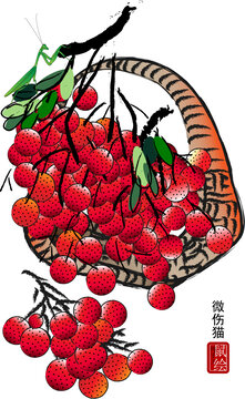 國畫荔枝矢量圖