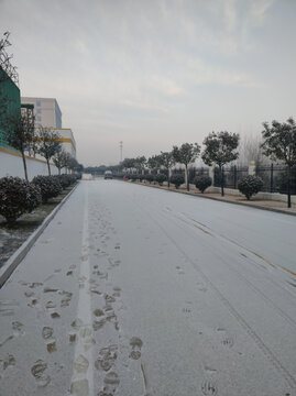 雪后的路