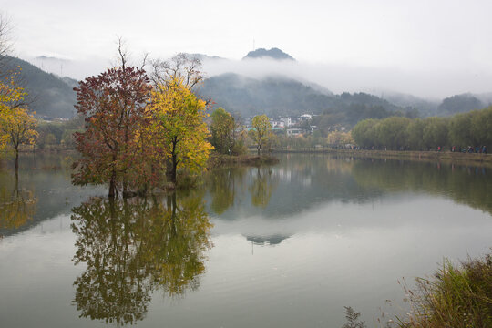 罗田天堂湖水上红叶46