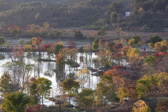 罗田天堂湖水上红叶58