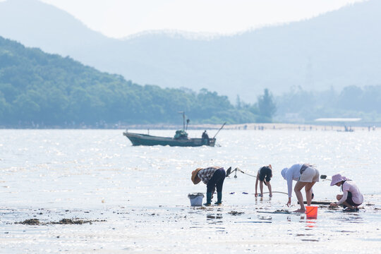 海边捡贝