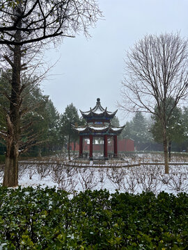 洛阳白马寺雪景