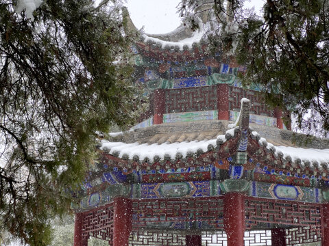 洛阳白马寺雪景