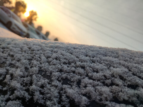 清晨的雪