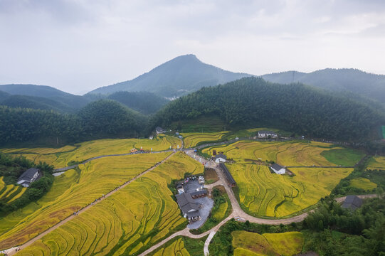 上堡梯田风光