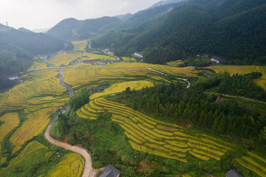 上堡梯田风光