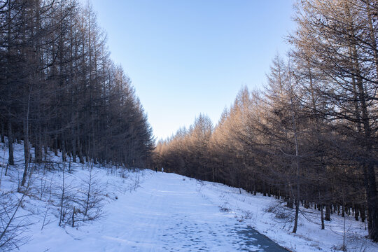 雪路