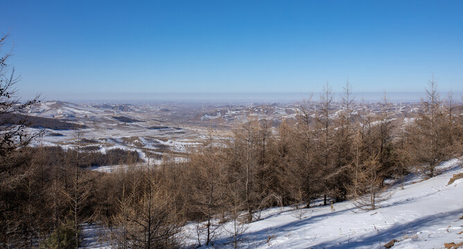 雪原