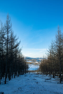 雪路