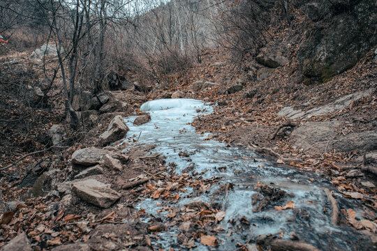 结冰的溪流