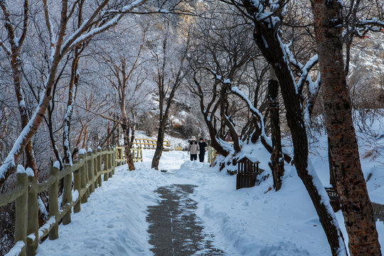 白石山雪景