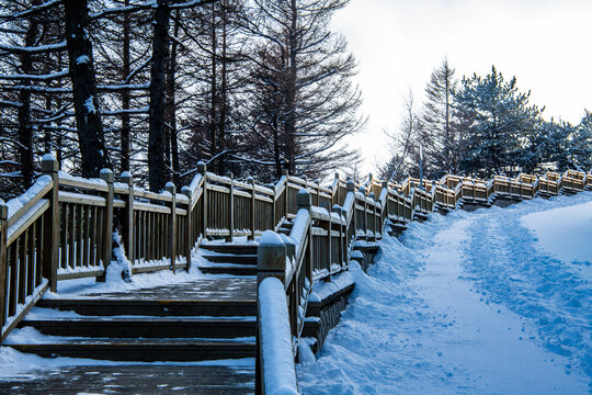 白石山景区木栈道雪景