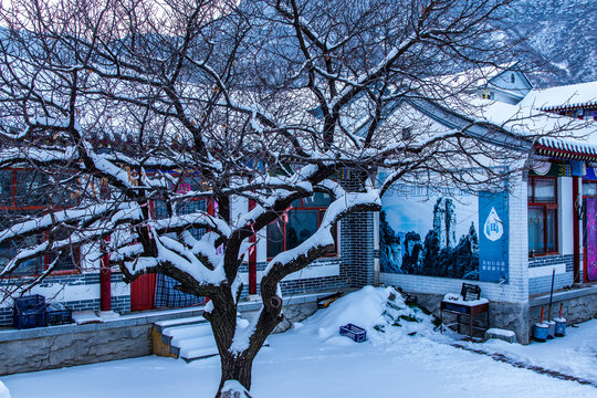 乡村雪景