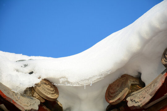 白雪