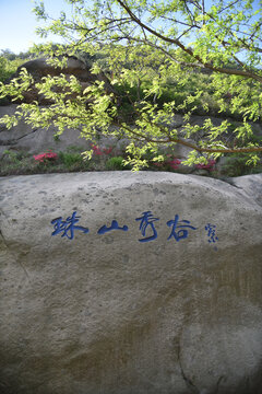 青岛大珠山风景区珠山秀谷