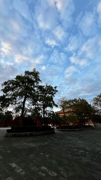 海口永庆寺风光