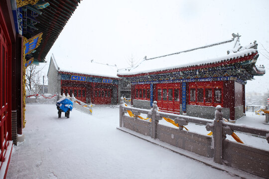 雪景