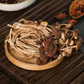 深底上的茶樹菇