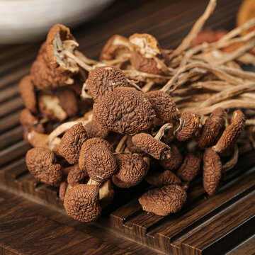 深底上的茶樹菇