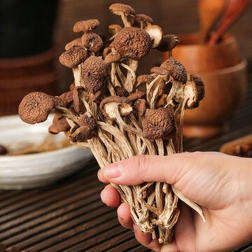 深底上的茶樹菇