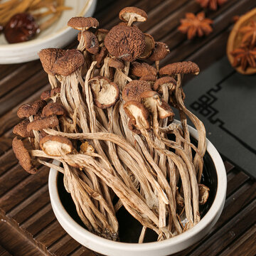深底上的茶樹菇