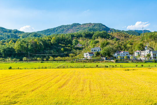 山村秋色