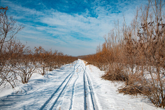 乡村雪景小路