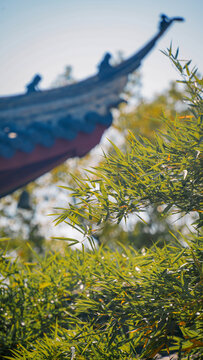 宁波奉化岳林禅寺飞檐