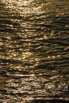 夕阳下的金色海面