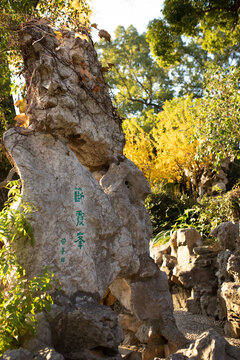 留园假山