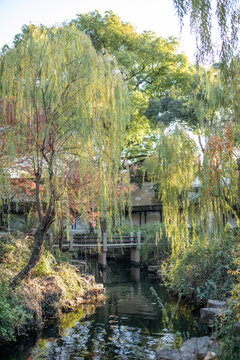 园林造景