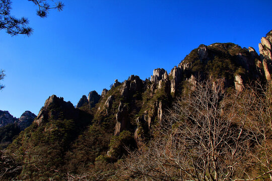 黄山仰望