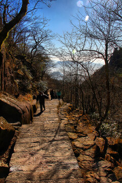 黄山登山路