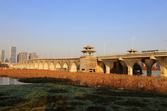 汉阳墨水湖公园