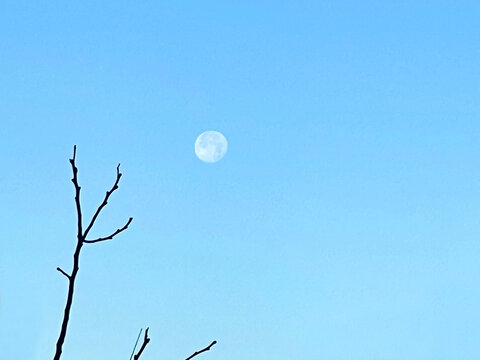 晴空之月