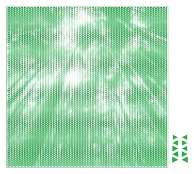 竹林雕刻圖案