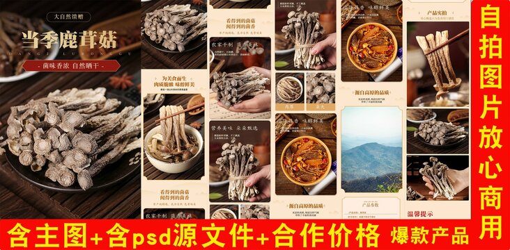 鹿茸菇詳情